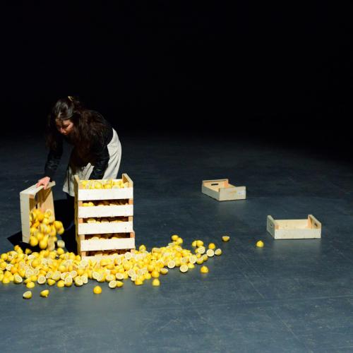 diaporama Les Citrons
